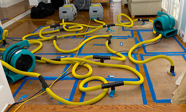 Professional Burst Pipe Water Damage technician working in Cedarville, AR